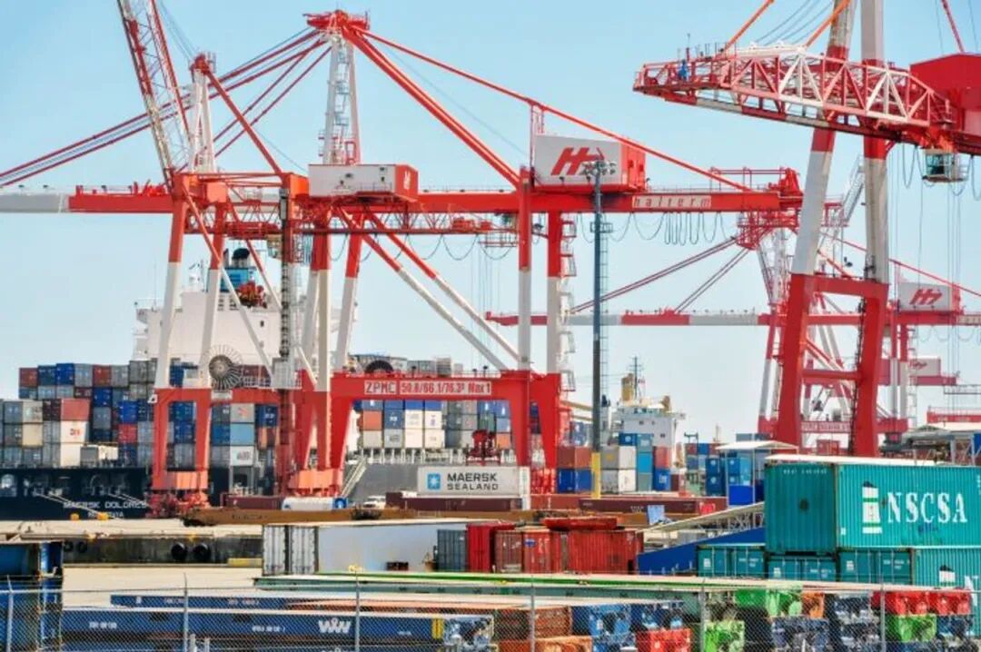 哈利法克斯港迎来OOCL跨大西洋新航线