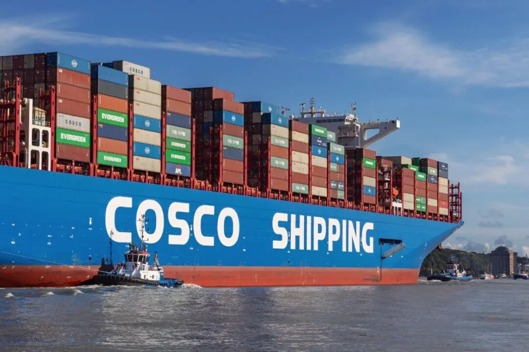 Just now! COSCO Shipping Lines resumes bookings for the Middle East region!