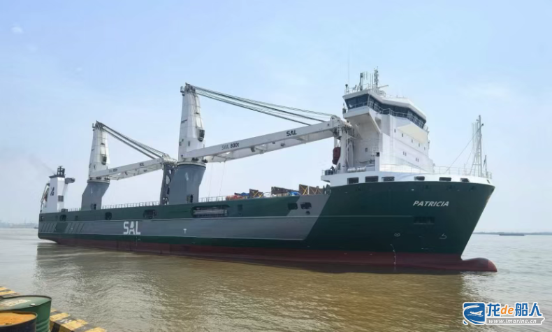 Wuhu Shipyard Delivers Multipurpose Heavy-Lift Vessel